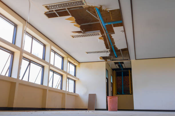 Best Water damage restoration near me  in Rolling Hills Estates, CA