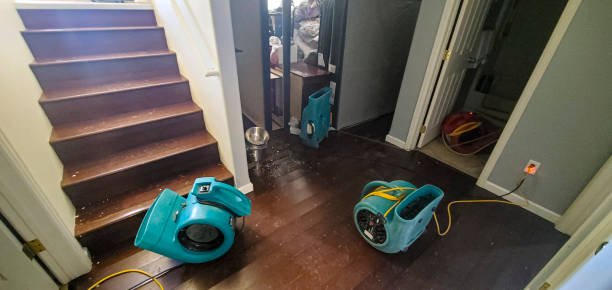 Water damage restoration mold remediation in CA