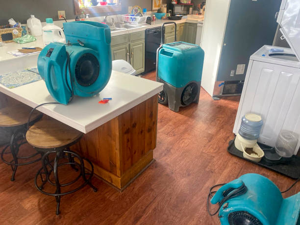 Best Water damage restoration near me  in Rolling Hills Estates, CA