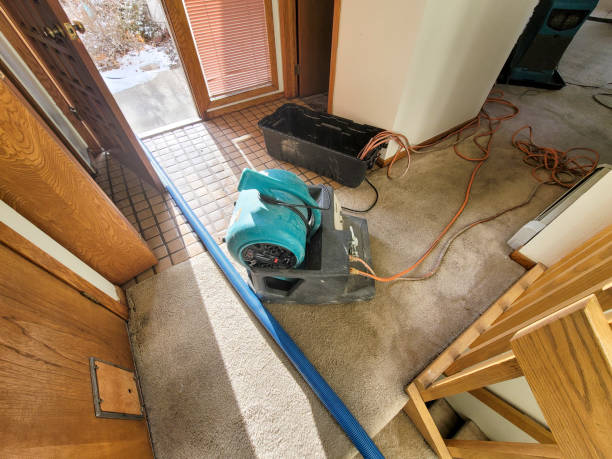  Rolling Hills Estates, CA Water damage restoration Pros