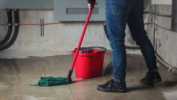 Best Water damage cleanup near me  in Rolling Hills Estates, CA