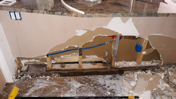Best Water damage restoration company  in Rolling Hills Estates, CA