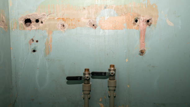 Best Carpet water damage restoration  in Rolling Hills Estates, CA