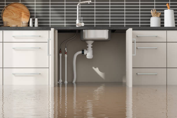 Best Ceiling water damage repair  in Rolling Hills Estates, CA