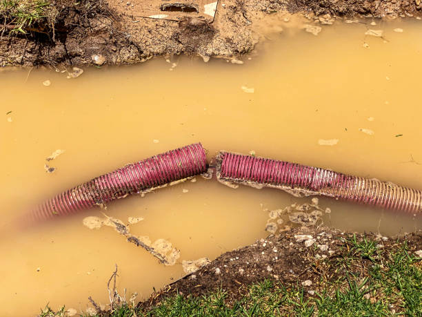 Best Flooded house restoration  in Rolling Hills Estates, CA