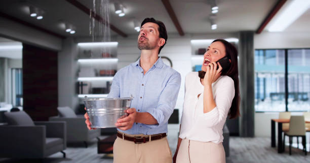 Best 24-hour water damage restoration  in Rolling Hills Estates, CA