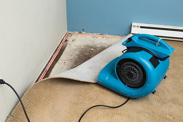 Best Flood damage cleanup  in Rolling Hills Estates, CA